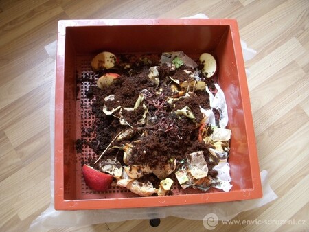 V Plzni se pije kafe pro žížaly. Projekt propojuje zatím deset kaváren se zahradníky a ukazuje, jak vyžívat lógr při kompostování a pěstování, tedy jako užitečné hnojivo.