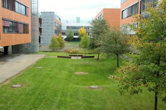 Poldr ve vysokoškolském kampusu v Brně-Bohunicích