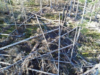 Kácení až ve 200 let starých přírodě blízkých lesích v PR Suchý vrch narušuje porosty v rezervaci.