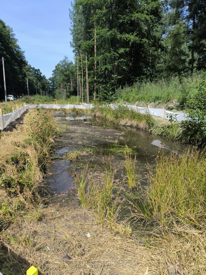 Fotodokumentace z 20. 8. 2025 – stav před zasypáním tůně