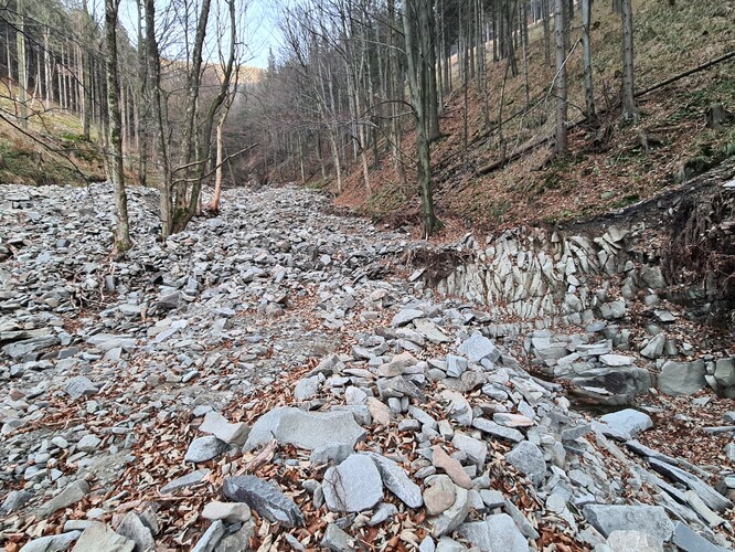 Akumulace mury, Smrk (Moravskoslezské Beskydy).