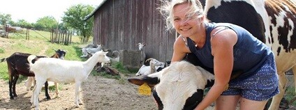 foto: daffodildred / Shutterstock