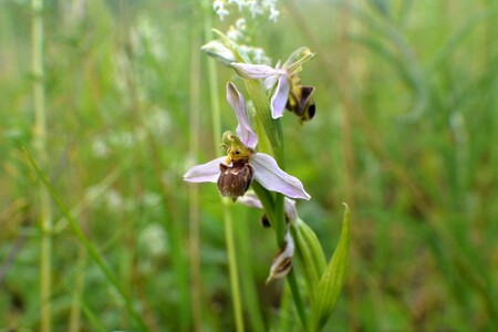Ojedinělý, unikátní.