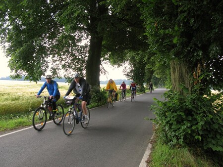 Rodinná vyjížďka v pohodovém tempu nabídne například průjezd Lipovou alejí u Žižkova pole, na jejíž záchraně se Arnika podílela, Ranskou alejí ve Starém Ransku a dalšími kouzelnými kouty Vysočiny. / Ilustrační foto