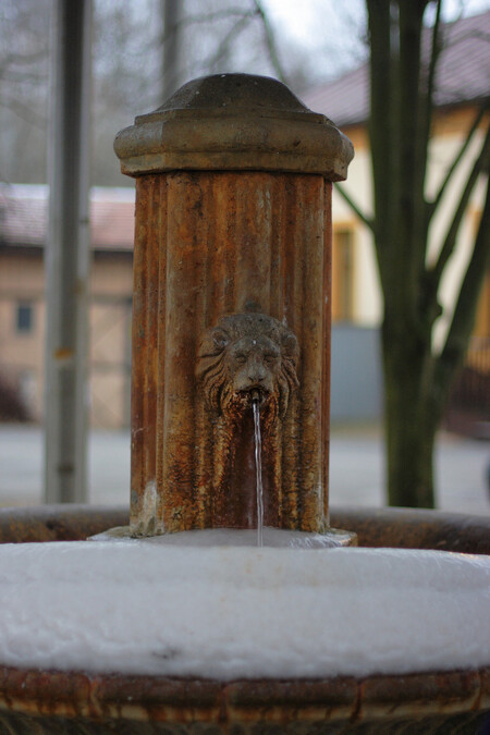 Podle jednatele Technických a dopravních služeb Mariánských Lázní Daniela Javůrka volně přístupné prameny ve městě zamrzají často.