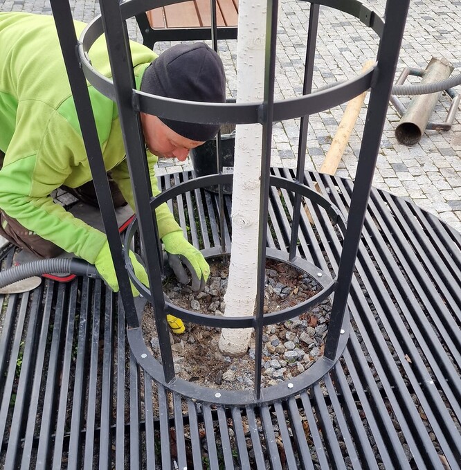 Stromu vysazenému ve strukturálním substrátu to neudělá dobře.