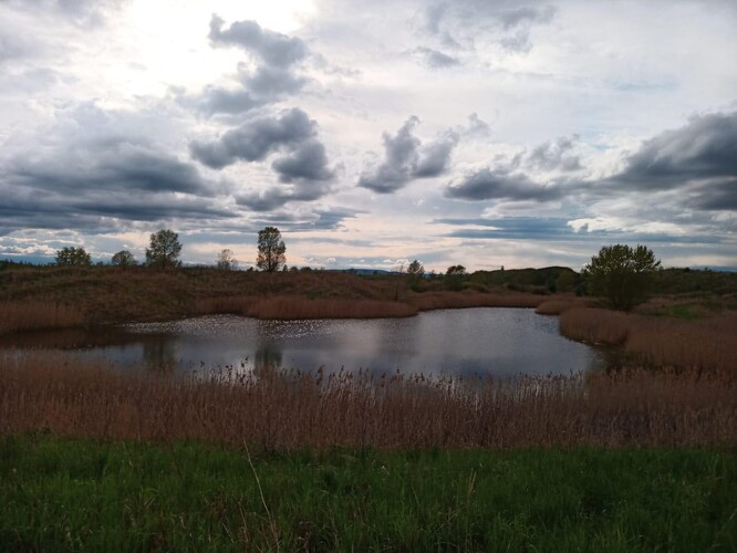 "Polsko". Radovesická výsypka bývá poláků plná.