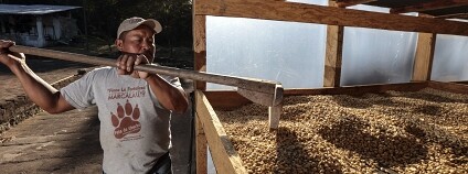 Foto: Maren Barbee / Flickr