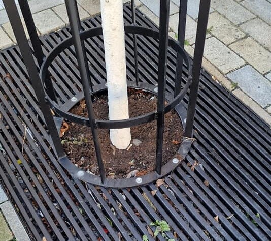 Vysypat květník ke stromu není dobrý nápad.