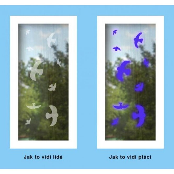 Samolepky na sklo s UV efektem - jasně modré pro ptáky, téměř průhledné pro lidské oko.