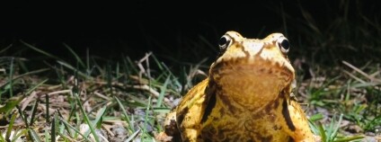 Foto: Tereza Müllerová