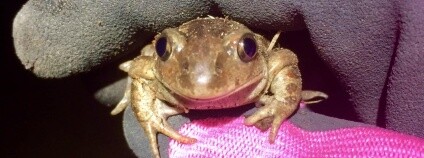 Foto: Tereza Müllerová