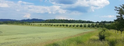 Foto:  Jiří Malík