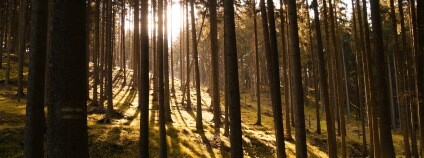 Foto: jocchannna / Flickr