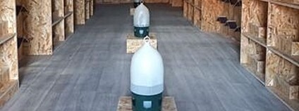 Městský holubník na Mariánském náměstí Foto: praha.eu