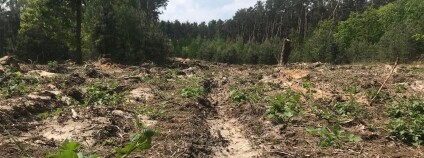 Foto:  Jakub Hruška