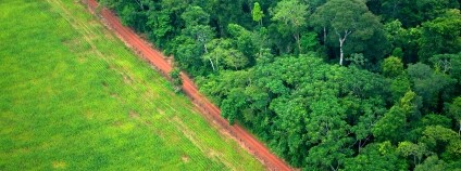 Letecký snímek Foto: Kate Evans/CIFOR Flickr