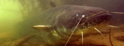 Foto: Zuzana Musilová