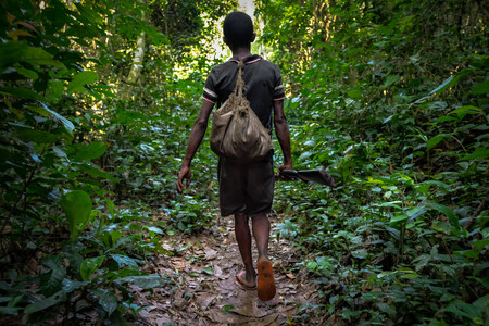 Na to, abyste jednou ranou sundali dvoutunového nosorožce tuponosého, potřebujete pořádnou pušku. / Ilustrační foto