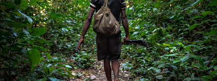 Foto:  CIFOR / Flickr