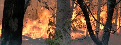 Foto: Sascha Grant / Flickr