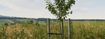 Foto: Marek Dvořák