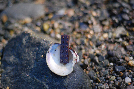 „Hračky" představují velkou zátěž pro životní prostředí a jsou velmi nebezpečné pro zvířata. Ilustrační snímek.