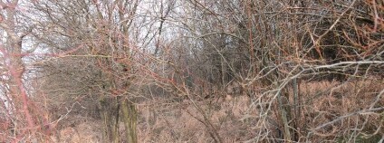 Foto:  Pavel Brodecký / Velkojaroměřský pozemkový spolek