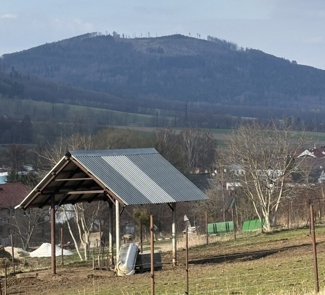 Lesní holina z pohledu Kozí farmy.