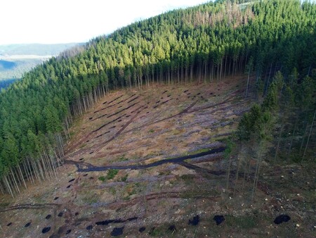 Velkoplošné holoseče na strmých svazích ve 2. zóně CHKO…
