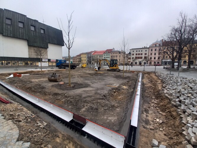 Stromy čerstvě po výsadbě s podzemním kotvením a ještě odkrytou infrastrukturou pro hospodaření s vodou.