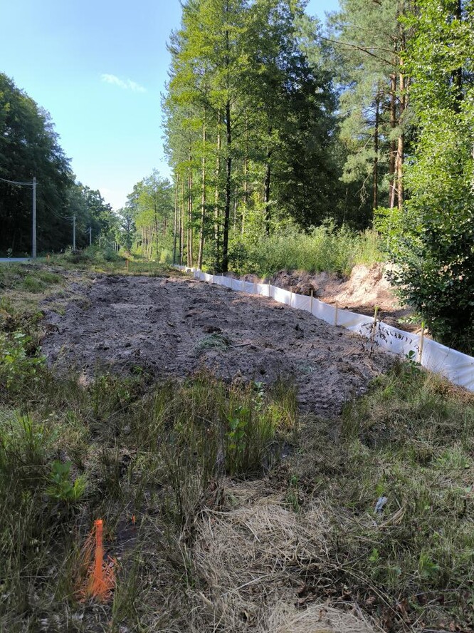 Fotodokumentace z 25. 8. 2025 – zasypaná tůň