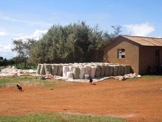 Farma Hellen Yego během sklizně kukuřice