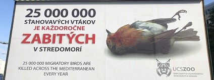 foto: Zoo Bratislava