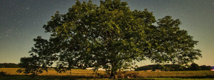 Foto: Nadace Partnerství