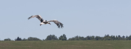 Foto: Bohumil Mášek / DES OP
