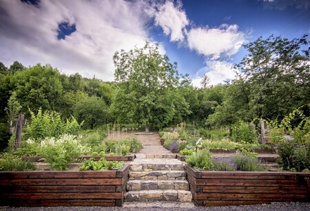 Dobrovolníci letos v Otevřené zahradě Nadace Partnerství v centru Brna, která je přístupná veřejnosti, odpracovali na 600 hodin. / Ilustrační foto