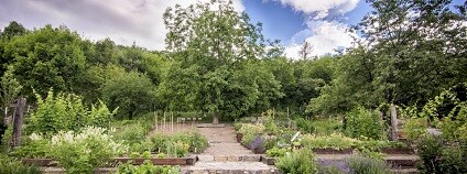 foto:  www.otevrenazahrada.cz