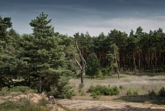 Známým stanovištěm mlynaříka je na tzv. Moravské Sahaře terén PP Vojenské cvičiště Bzenec. Zde se společně s jinými pískomilnými bezobratlými udržel jen díky dlouholetému užívání tohoto prostoru armádou, což znemožnilo jednak pěstební výsadbu, jednak větší šíření nalétlých dřevin.