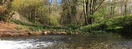 Foto: Alex Morss / theguardian.com