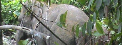 foto: pralesdetem.cz