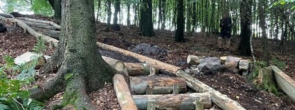 Na české straně hranice vytvoření trasy vyžaduje vetší terénní úpravy. Foto: Nadja Rademacher Správa NP České Švýcarsko