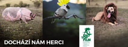 foto: Ekotopfilm