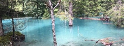 foto: Erwin Aichhorn / salzburg.orf.at