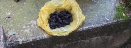 foto: Vanda Hubocká / Záchranná stanice živočichů Plzeň