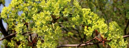 foto: Muzeum Hradec Králové