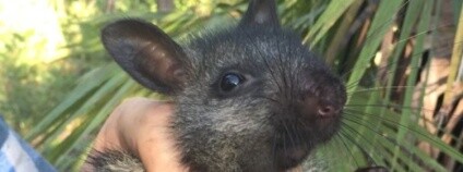 foto: Hugh Davies / BBC News