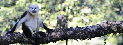 foto: Le Van Dung / ZOO Ostrava