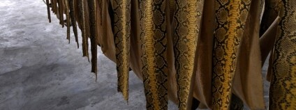 foto: Mark Auliya / UFZ