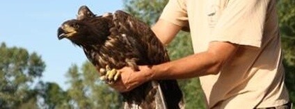 foto: Záchranná stanice Jaroměř